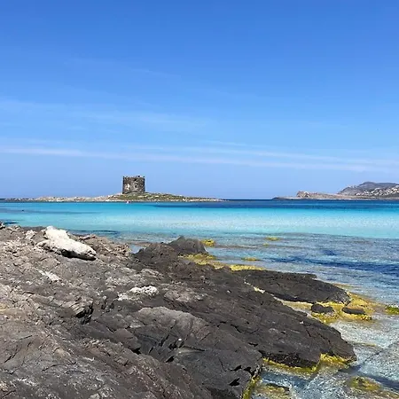 Holiday home I Pescatori Di Stelle-o16 Bellatrix Stintino